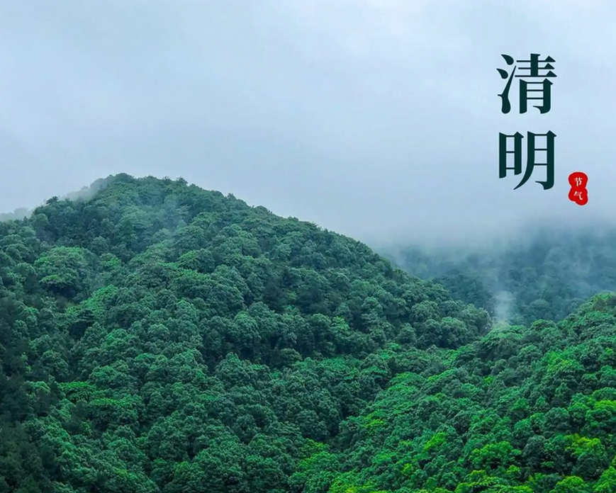 2025年清明節(jié)放假通知
